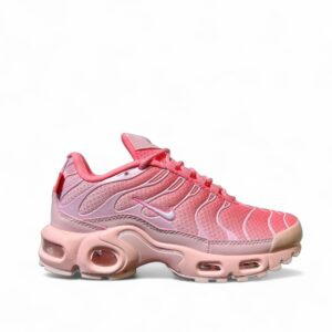 Nike Air Max plus City Special